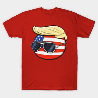 Funny Meme America Polandball T-Shirt